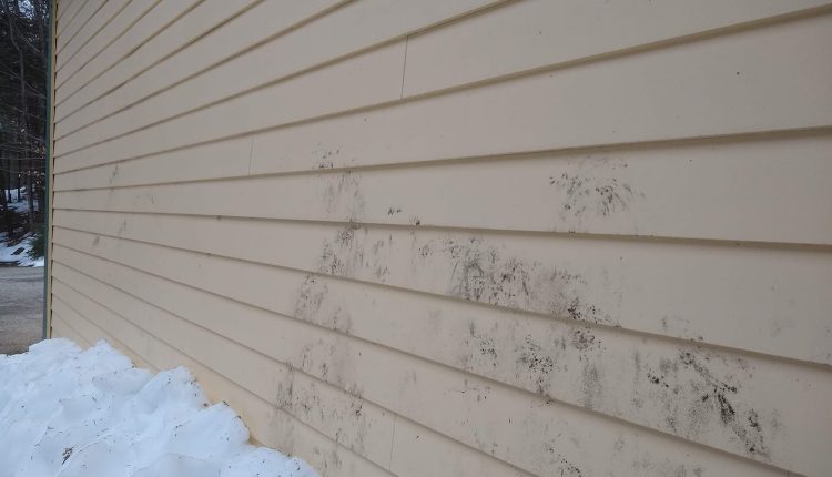 如何从乙烯基壁板上取下模具爱游戏ayxPG电子