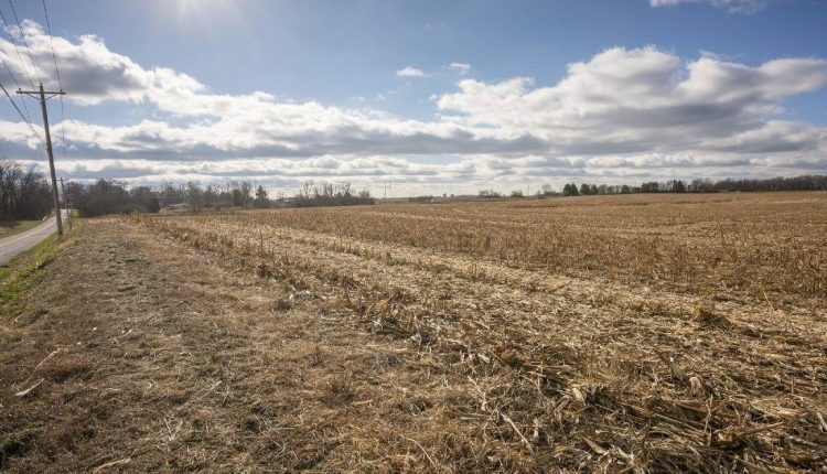 格林伍德委员会批准新的分区，但禁止乙烯基壁板爱游戏ayxPG电子