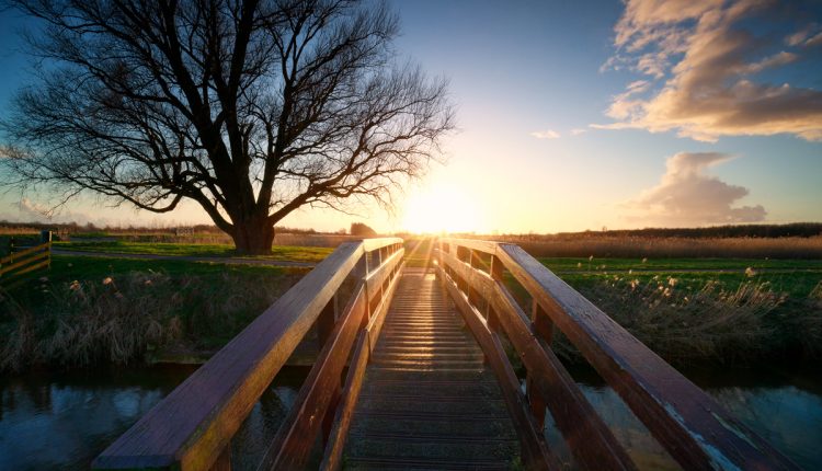 哈达德:两个兄弟，一个篱笆和一个聪明的木匠|每日信使