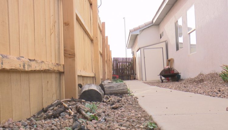 “俗气”后院围栏替换提出了城市规则的问题