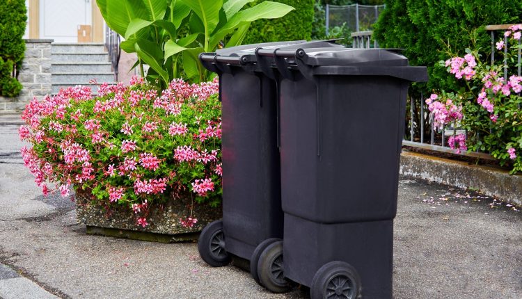 熊轮人的垃圾桶倒在车道上