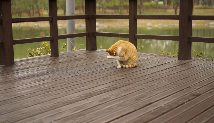 在选择桥牌建造者时需要注意的4件事。-