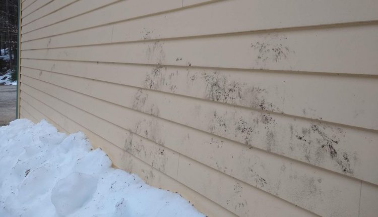 询问建设者：从乙烯基壁板上取出模具爱游戏ayxPG电子