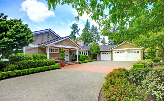 达到专业车道的指南